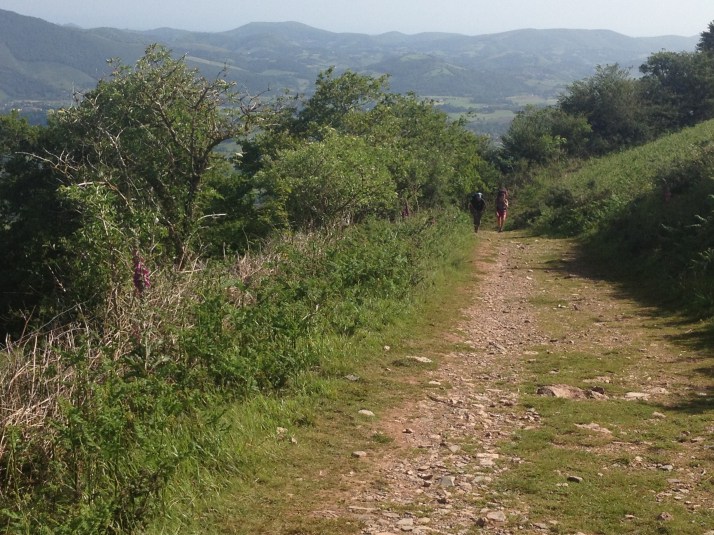 Part of the path over the Mountain - day 1