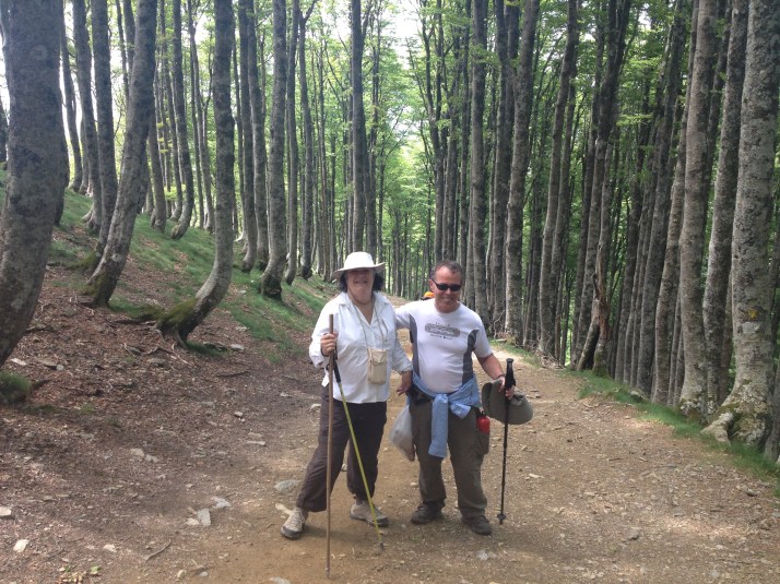 Coimg down the Mountain nearing Roncesvalles, Spain 