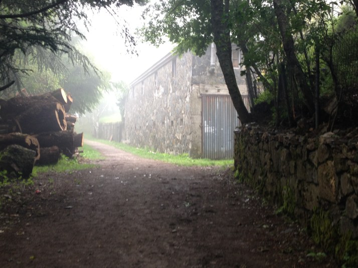 Foggy and cold coming into Fonfria