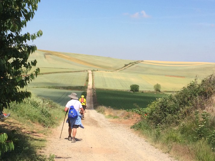 The Long Trail Ahead